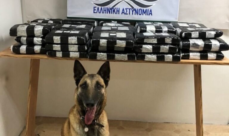 “Laika” 32 kilo uyuşturucunun kokusunu aldı!