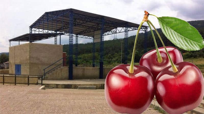 Geleneksel Kiraz Festivali 9-10-11 Haziran’da