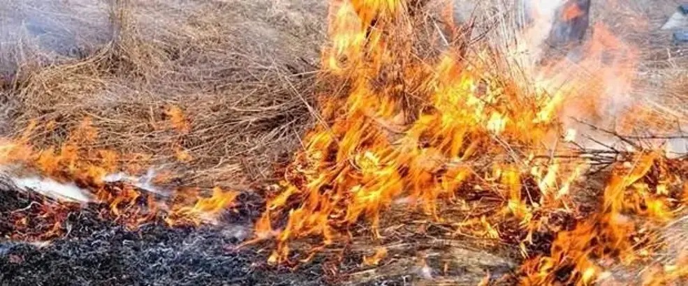 Sakarkaya’da kuru otları yakan kişiye para cezası kesildi!