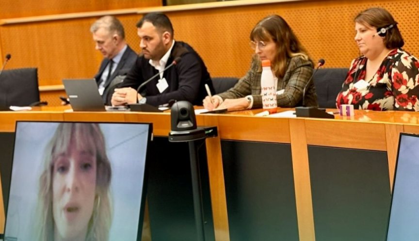 DEB Partisi, EFA yönetimi toplantısı ve parti kampında temsil edildi