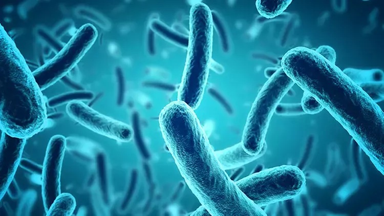 Strep A bakterisi nedeniyle 9 okulda eğitime ara verildi