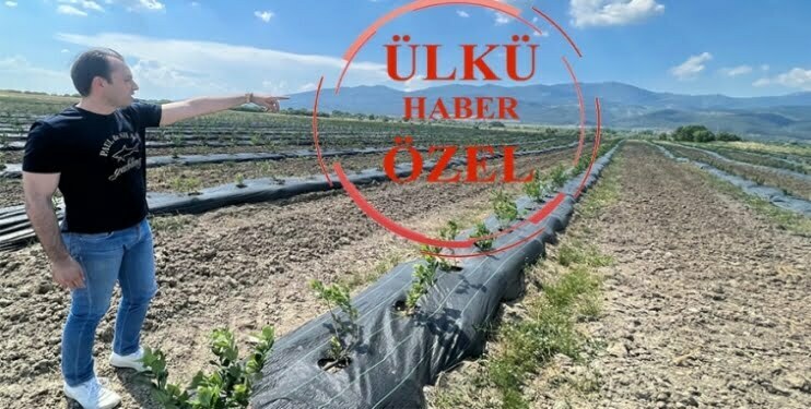 "Yaptıklarımız, yapacaklarımızın teminatıdır"