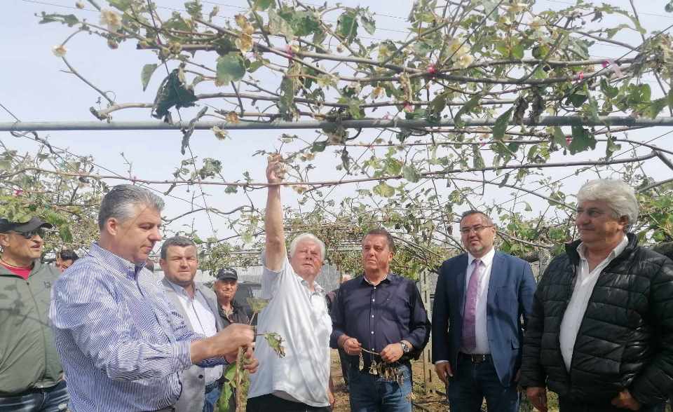 DMT Bölge başkanlığı yetkilileri dolu yağışından etkilenen bölgeyi ziyaret etti