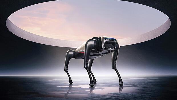 Robot köpekler işbaşında - Haberler