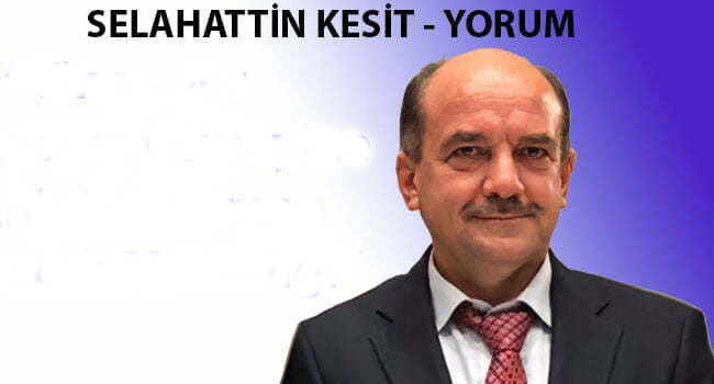 Siyasetin koyunları