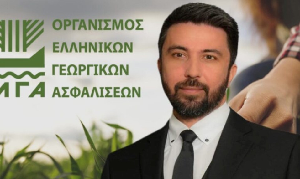 Ferhat: “Kiraz üreticilerimiz tazminatlarına kavuşacaktır”