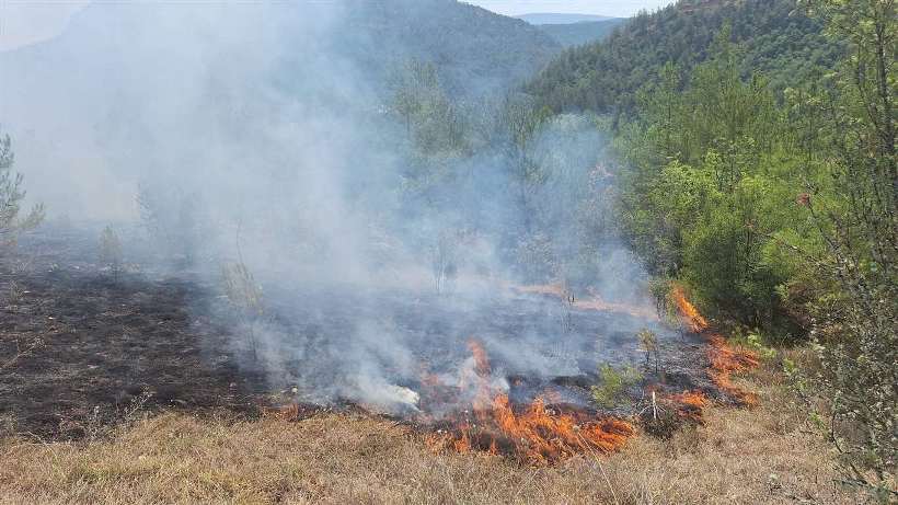 Dikkat! Rodop ili için “Çok Yüksek” yangın riski uyarısı