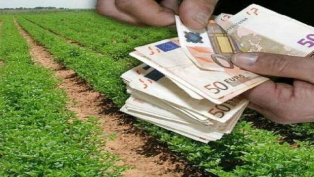 Çiftçilere ödeme takvimi açıklandı