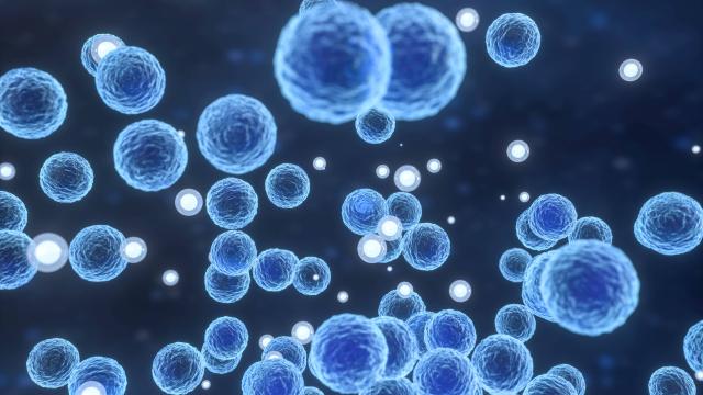 Yunanistan'da Strep A bakterisi nedeniyle ilk ölüm
