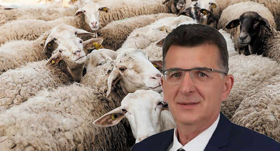Baran: “Hayvan besicilerine tazminatlar vergi ve sigorta bilgisi sunmadan ödeme yapılacak”