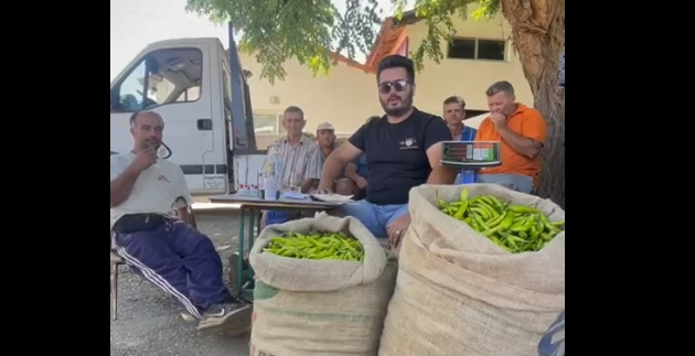 Erdi Şerif, zarara uğrayan biber üreticilerinin beyanda bulunmalarını istedi
