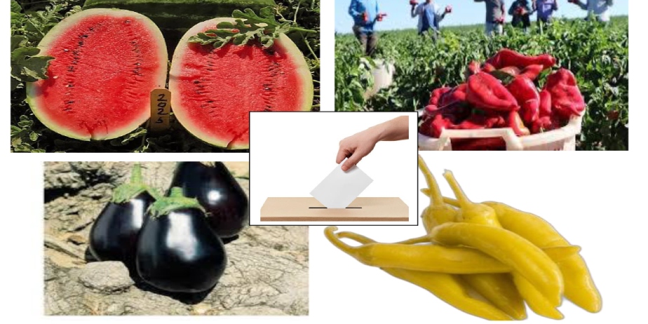 Trakya Tarım Kooperatifi Genel Kurulu 16 Kasım’da yapılacak