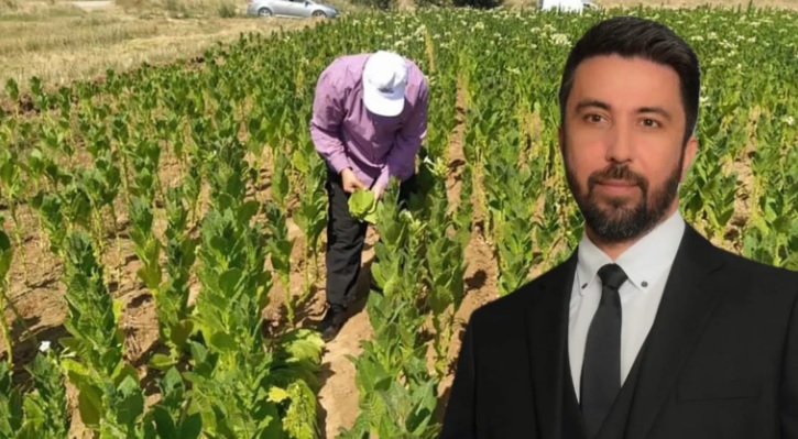 Ferhat, tütün üreticilerinin sorunları için acil destek talep etti
