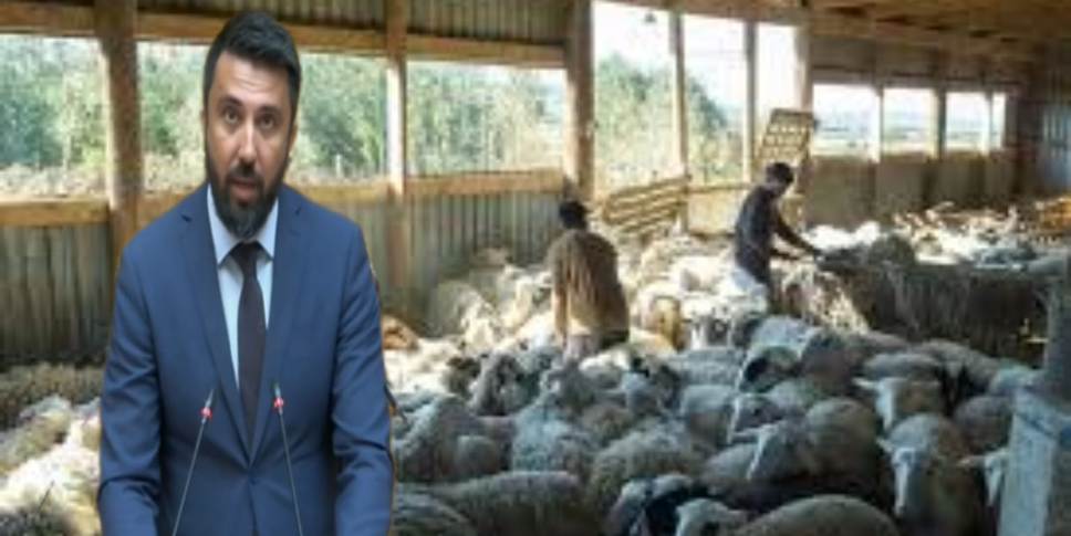 Ferhat, hayvancılık sektörüne destek verilmesi çağrısında bulundu