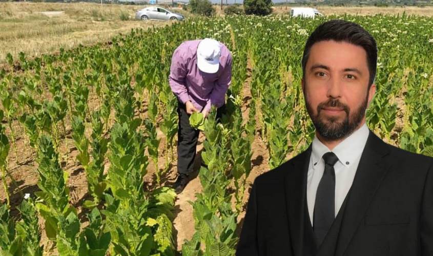 Milletvekili Ferhat, tütün üreticilerinin sorunlarını meclise taşıdı