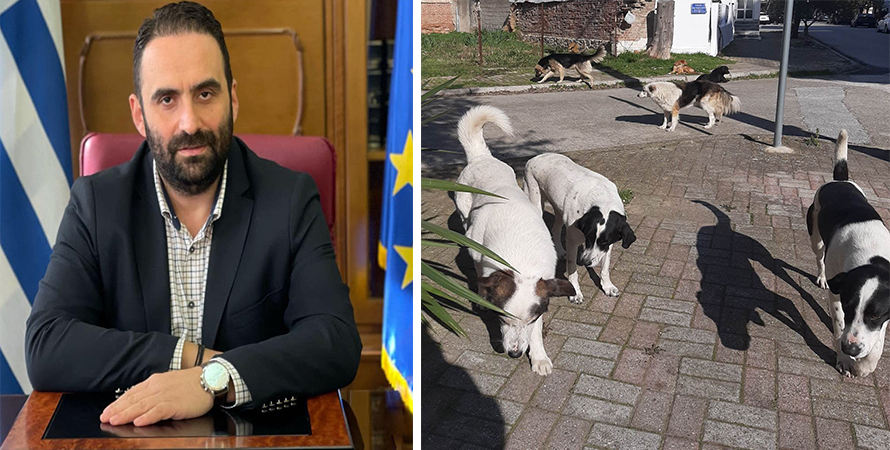 Gravanis, Gümülcine Belediye yönetimini sokak köpekleri konusunda eleştirdi