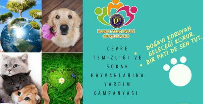 İTB Gençlik Kolun'dan "Çevre temizliği ve sokak hayvanlarına yardım kampanyası"
