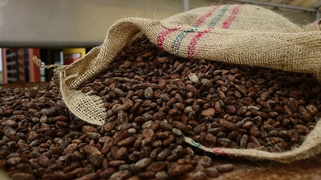 Kahve fiyatları son 50 yılın en yüksek seviyesine ulaştı