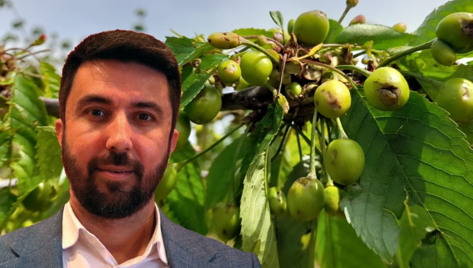 Milletvekili Ferhat kiraz üreticilerinin sorunlarını meclise taşıdı