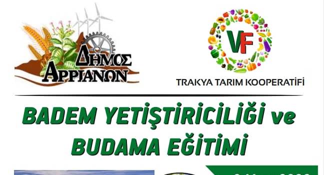 Kozlukebir Belediyesi ‘Badem yetiştiriciliği’ konulu toplantılar düzenleyecek