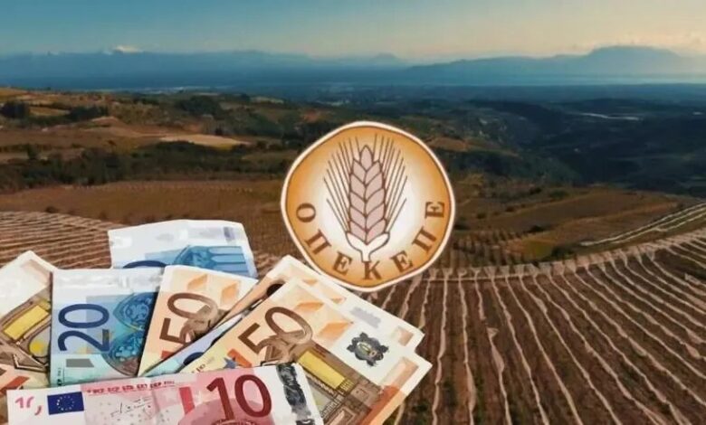 OPEKEPE Temel Destek ödemeleri bugün başlıyor