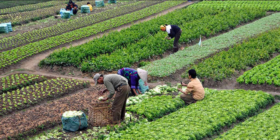 Biyolojik üretimde sertifikasyonlara sıkı denetim başlıyor: Binlerce başvuru geri çekildi