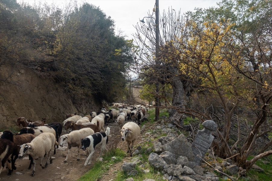 İskeçe Müftüsü Trampa, Osmanlı mezarlıklarını korumanın halkın doğal hakkı olduğunu söyledi