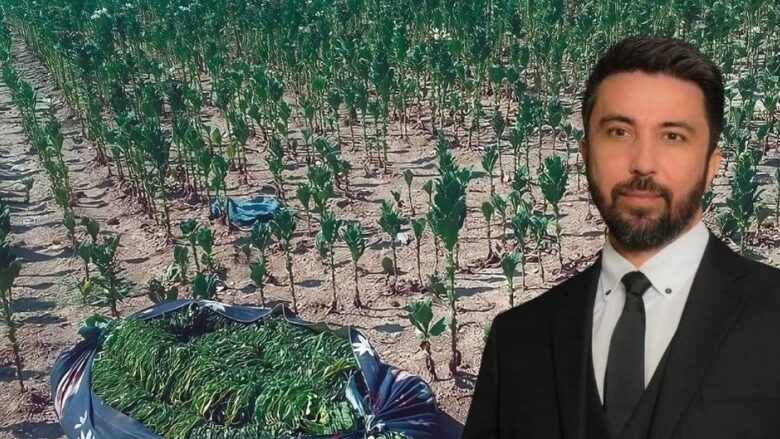 Tütüne destek paketi yeni yıldan sonra değerlendirilecek