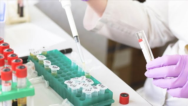 AB'de 8 ülkede 85 maymun çiçeği vakası tespit edildi