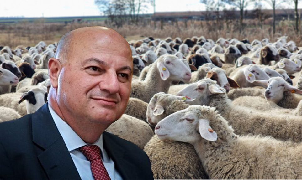 Tsiaras: “Çiçek hastalığına karşı yasa dışı aşı yapıldıysa, yargı araştıracak”