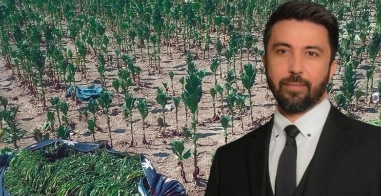 Rodop’ta tütün üreticileri destek bekliyor: Özgür Ferhat konuyu Meclis gündemine taşıdı