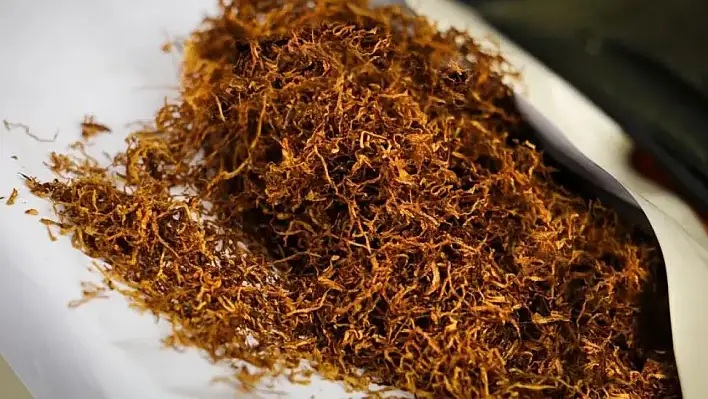 İskeçe’de 45 kilo kaçak tütün taşıyan şahıs tutuklandı