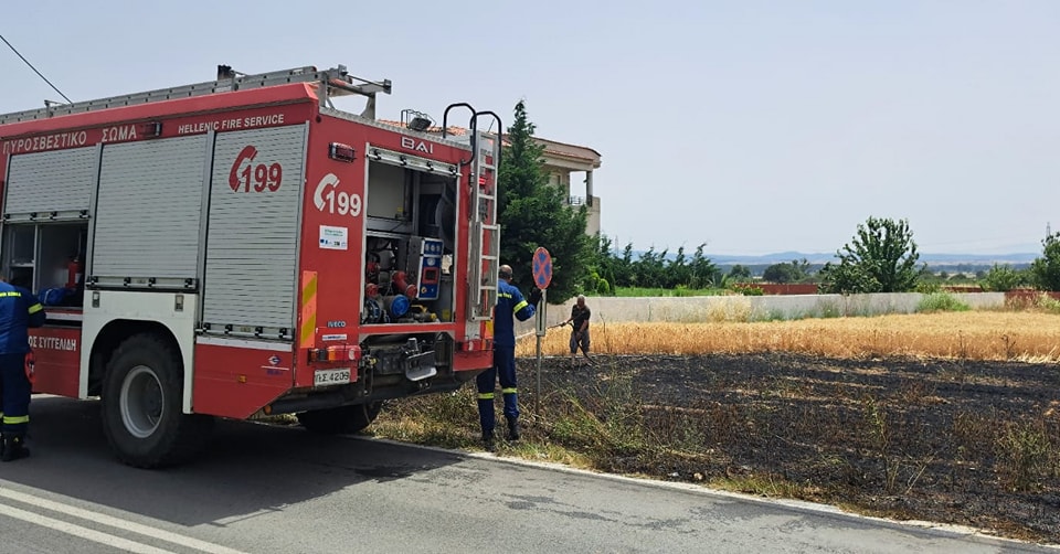 Sirkeli köyü yakınlarında ekili arazide yangın çıktı