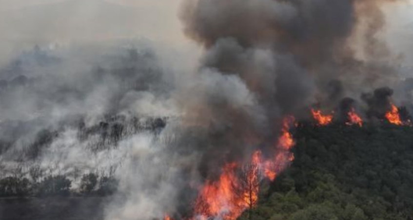 Yangınlarla ilgili yasakları ihlal eden 3 kişi gözaltına alındı