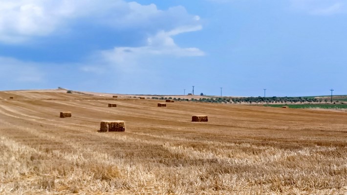 Yangın yasağı süresi 15 Kasım'a kadar uzatıldı